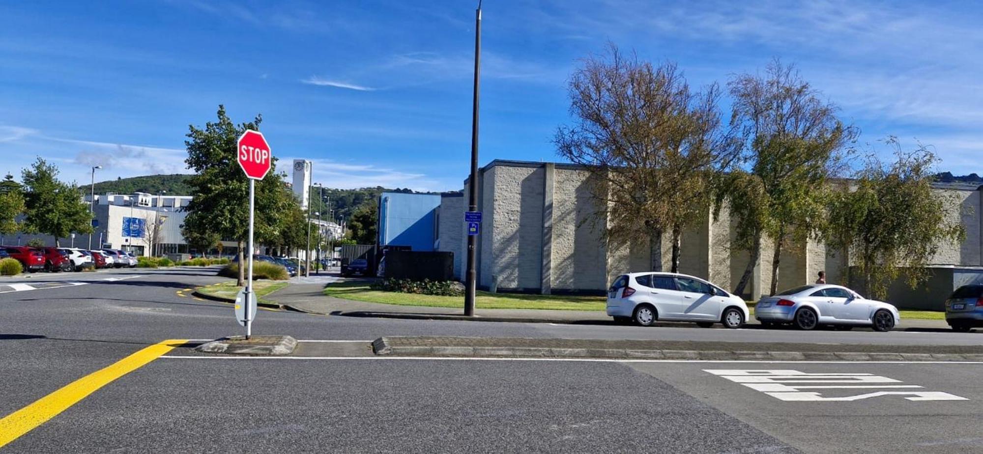 Central Modern 3-Bedroom,3- Bathroom House With Patio And Carpark- Lower Hutt City Centre Buitenkant foto